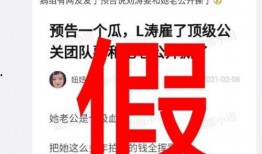 成都爆料 辟谣视频大全,揭秘网络谣言真相